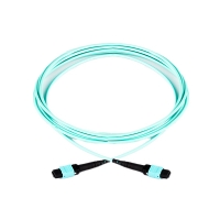 MTP-MTP Patchcord Ribbon Cable Assembly